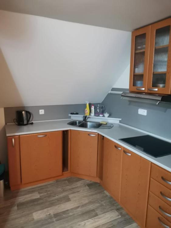Apartman Damiko Appartement Chřibská Buitenkant foto